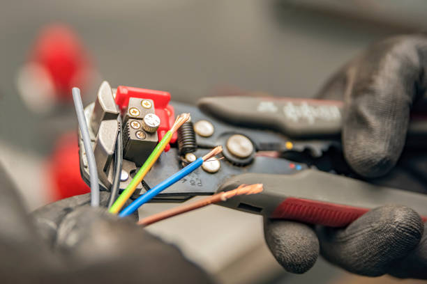 Best Electrician for Home Renovation  in Sauk Vlage, IL