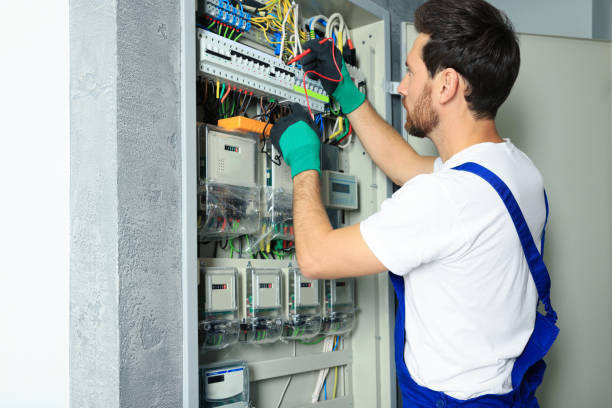 Best Electrical System Inspection  in Sauk Vlage, IL